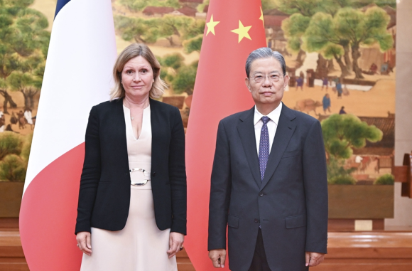 赵乐际同法国国民议会议长共同主持中国全国人大与法国国民议会交流机制第十二次会议